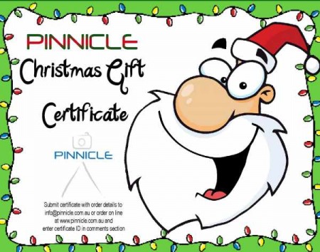Christmas Gift Certificate - each one will be customised for the gift amount | PinnicleGiftCertXMAS.jpg