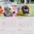 Dogs of Australia Calendar 2018 | backinner.jpg