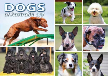 Dogs of Australia Calendar 2017