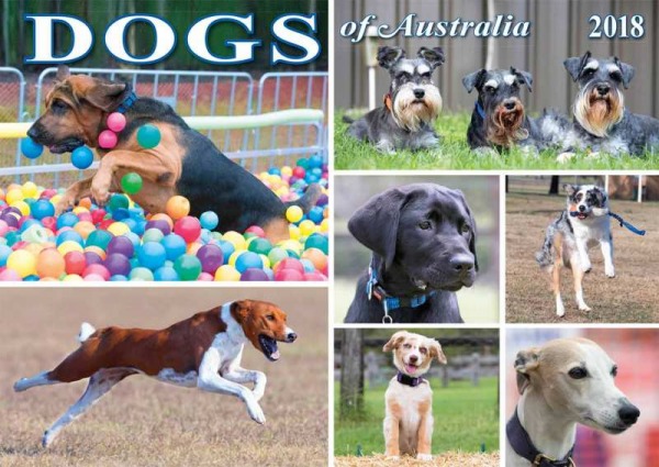 Dogs of Australia Calendar 2018