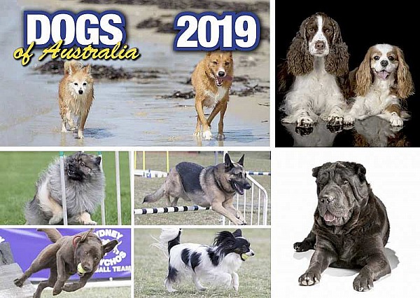 Dogs of Australia Calendar 2019