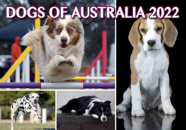 Dogs of Australia 2022 Calendar