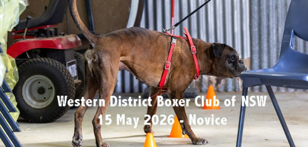 Western District Boxer Club of NSW - 15 May 2026 - Novice Containers & Interiors